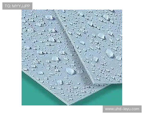 自洁型涂层应用于户外健身器材表面，抗污耐腐蚀